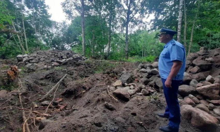 Массовую вырубку деревьев обнаружили в поселке Нагорное