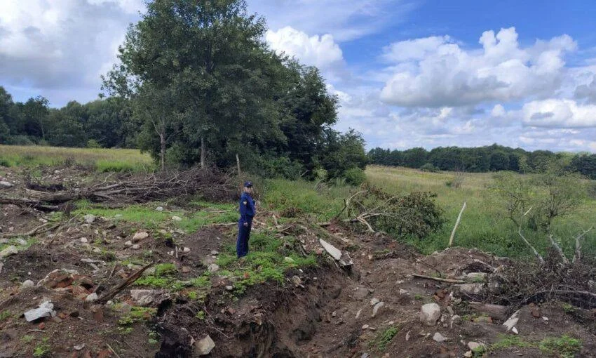 Лес разрыли в поселке Нагорное