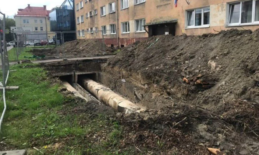 На Горького вырубили 88 деревьев и 79 кустарников ради ремонта теплотрассы