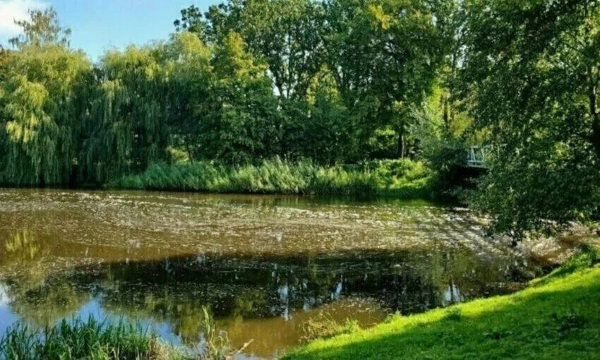 Мусорный затор обнаружили в реке Тыльжа