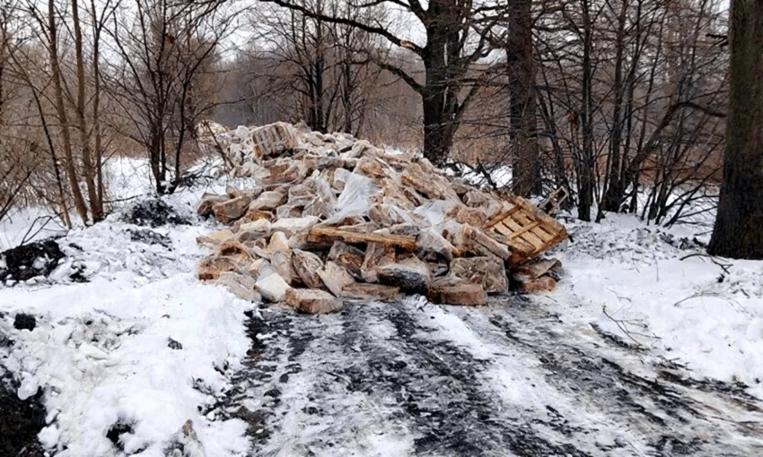 На&nbsp;окраине Калининграда нашли свалку почти тонны просроченных мясных отходов